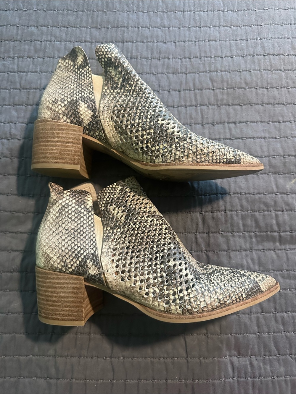 Dolce Vita Snake-Print Cutout Block Heel Booties - Black & Cream